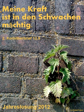 Jahreslosung 2012