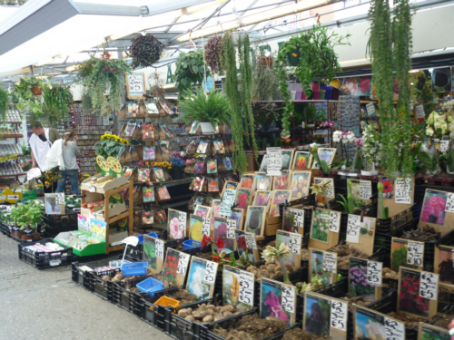 Amsterdam - Blumenzwiebelmarkt